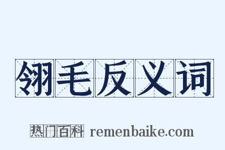 翎毛反义词是什么意思的图片